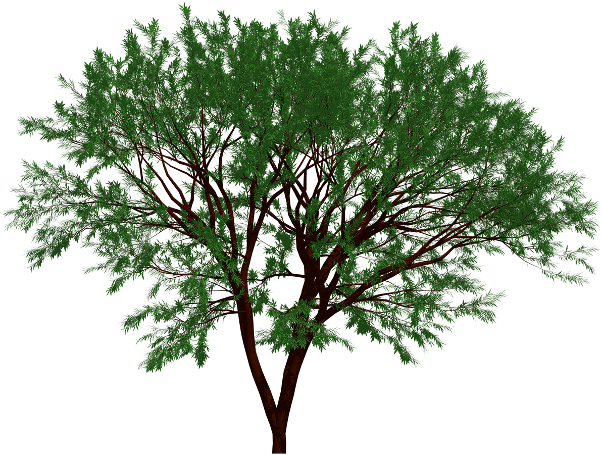 Portable Network Graphics (1280x960), Png Download