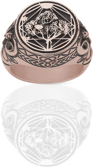 Ram Ring Oxidized - Ring (1024x1024), Png Download