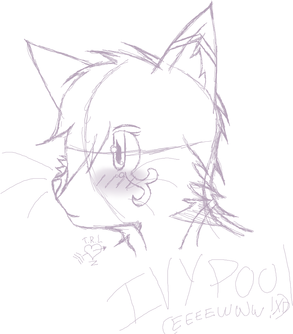 Ivypool - Sketch (1600x1200), Png Download