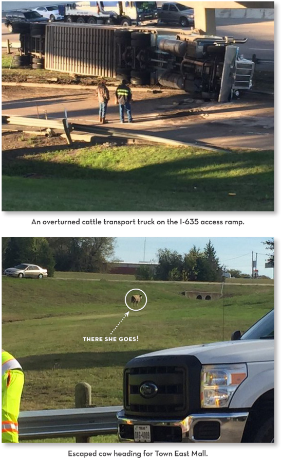 Just In Time For Sam & Marcy's Annual Untraditional - Infiniti (579x943), Png Download