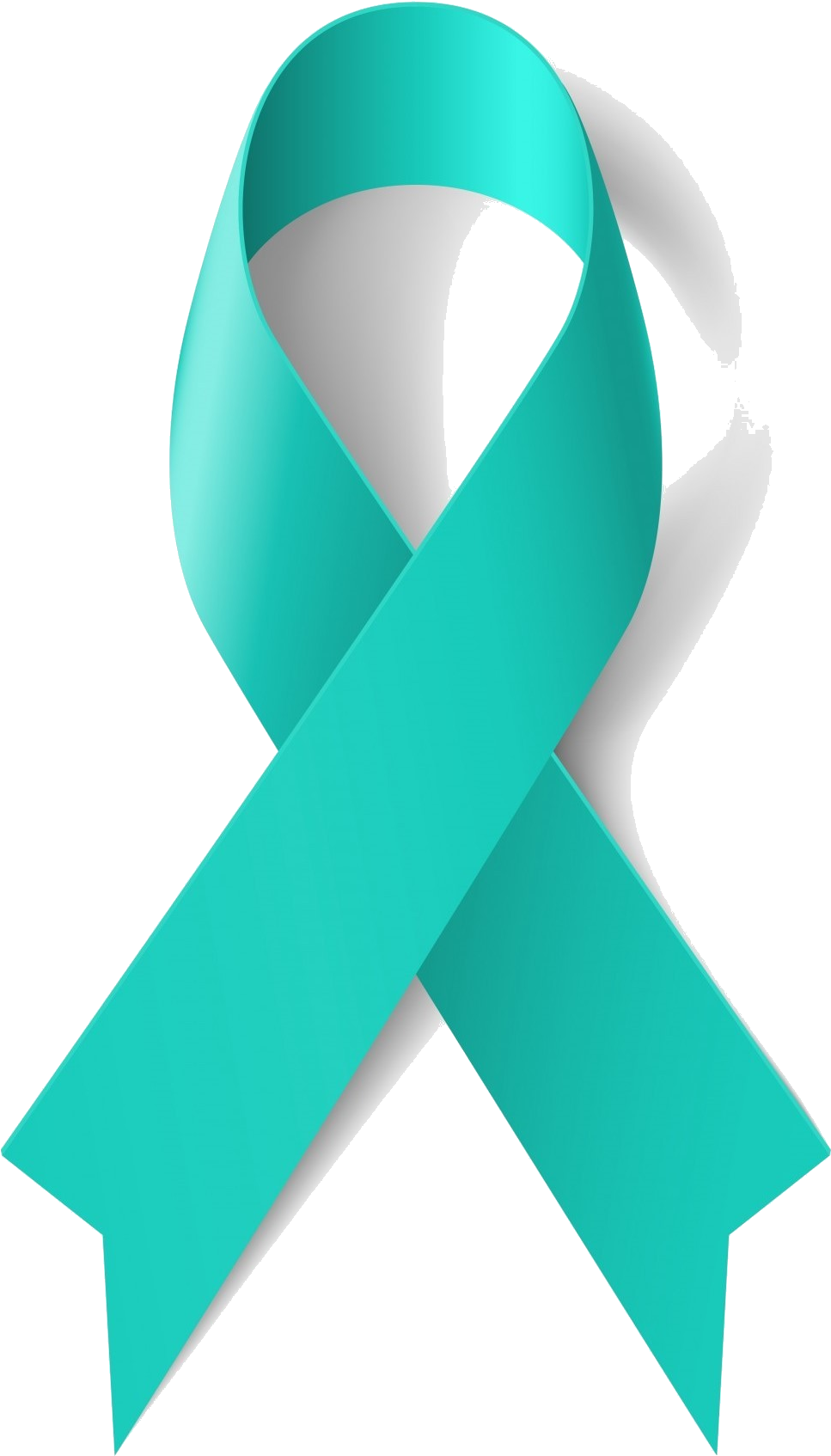 Teal Ribbon Transparent - Teal Cancer Ribbon (999x1723), Png Download