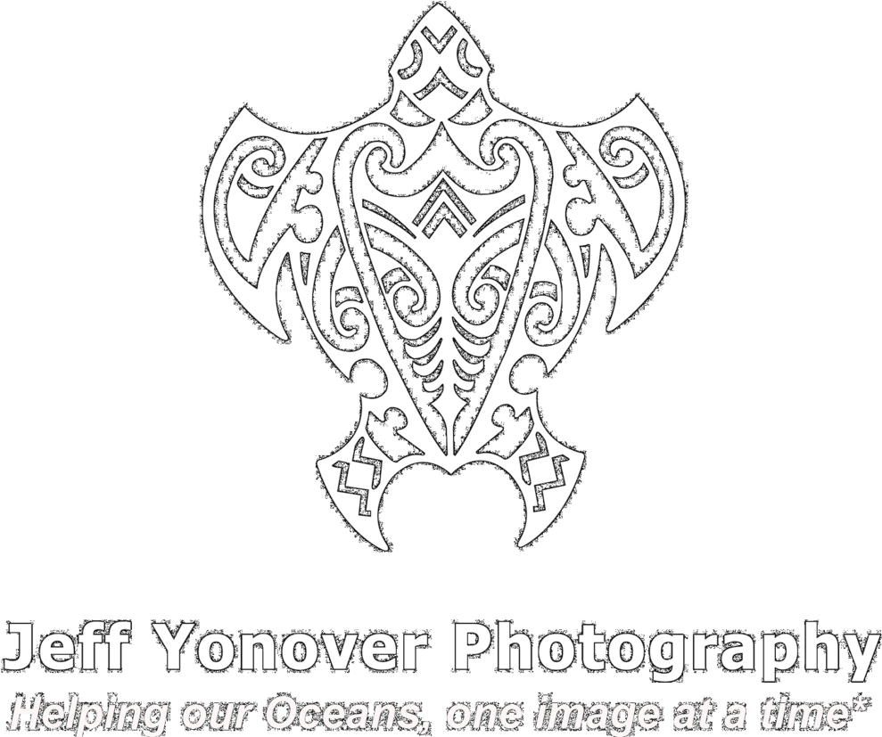 Jeffyonover - Line Art (1000x826), Png Download
