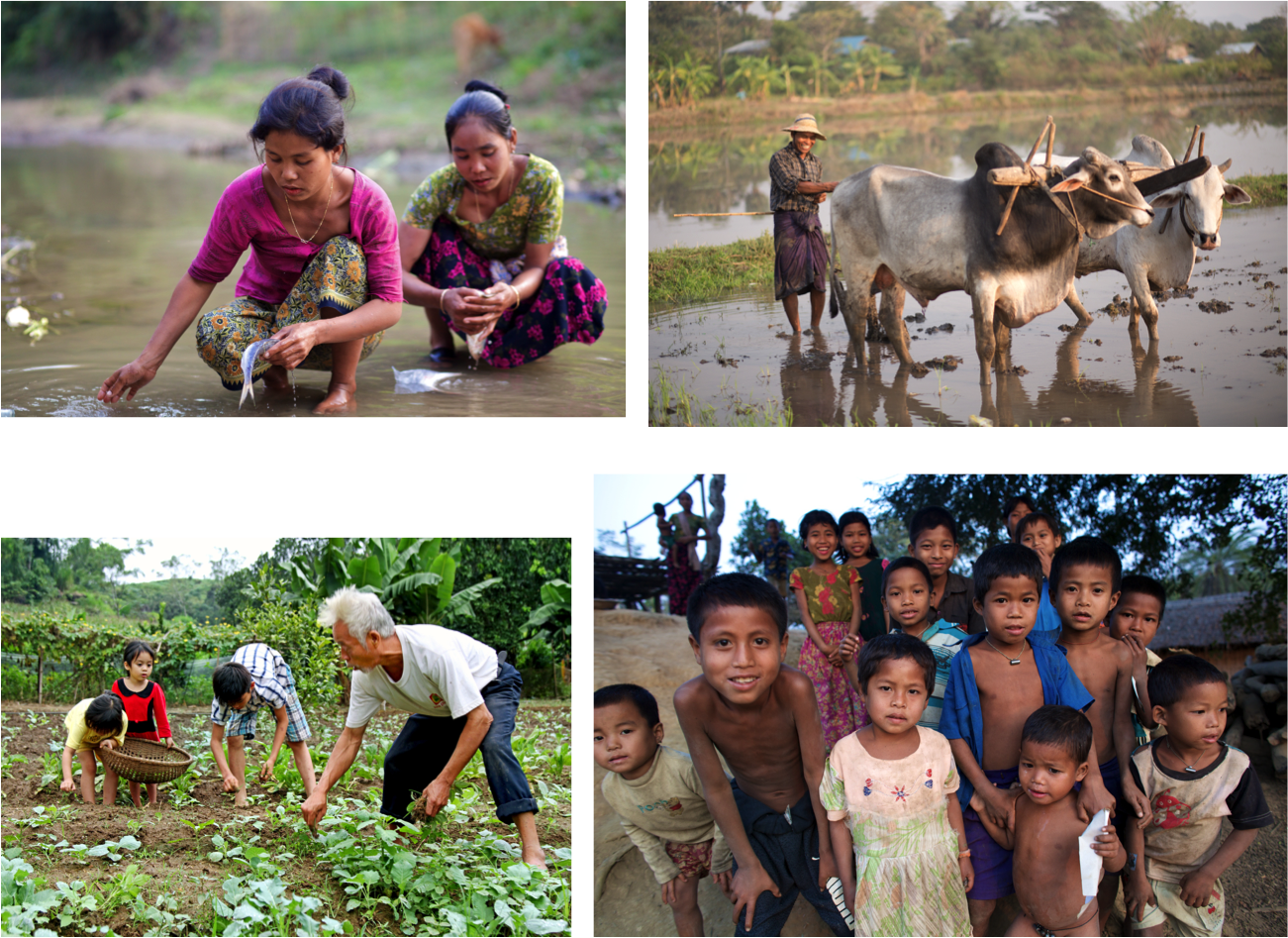 Essentials Montage - Field (1301x947), Png Download