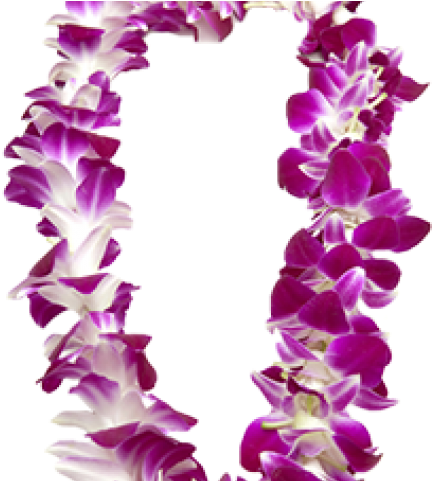 Orchid Garland (640x480), Png Download
