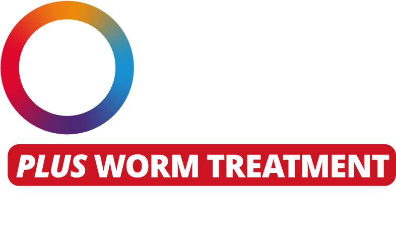 Bravecto 3 Month Flea & Tick Protection - Circle (800x480), Png Download