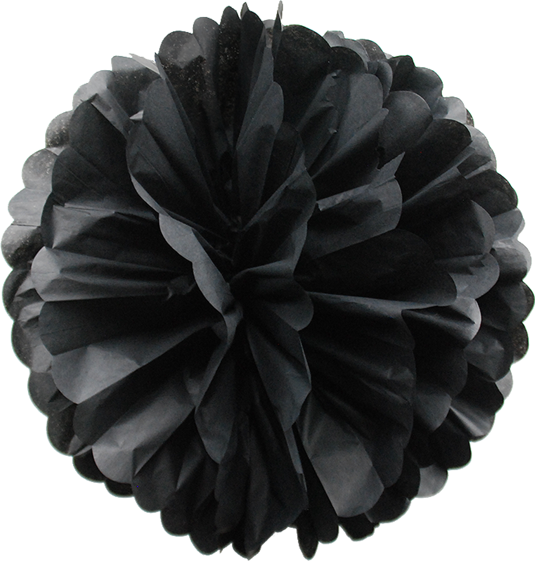 Black Pompoms-01 - Dahlia (2000x2000), Png Download