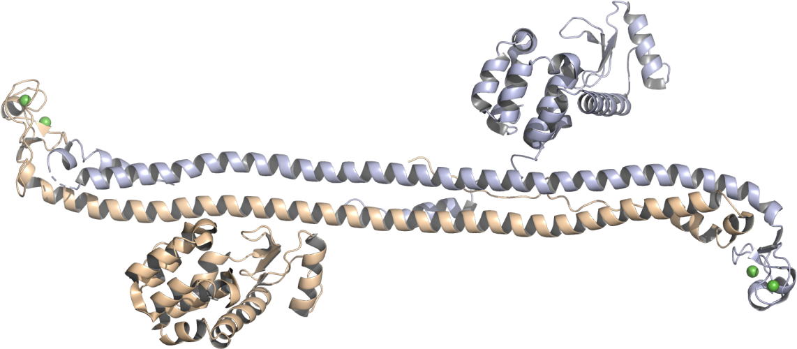 Ian Taylor - Bead (1500x500), Png Download