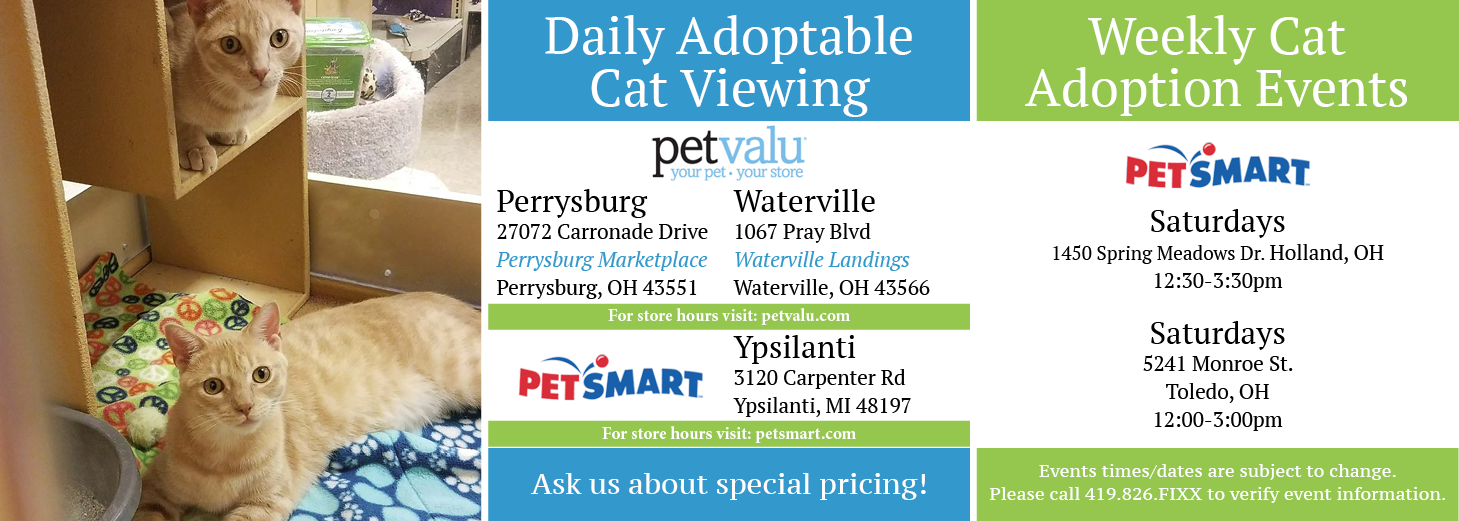 Upcoming Adoption Events - Pet Valu (1459x521), Png Download
