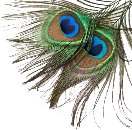 Related Image Peacock Feathers, Decoupage, Peacocks, - Achieving Oneness With The Higher Soul Download (687x455), Png Download