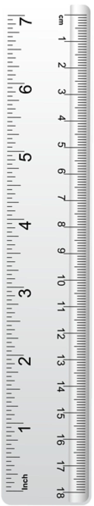 Ruler Png, Download Png Image With Transparent Background, - Number (400x1951), Png Download