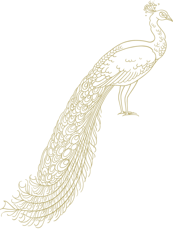 Peacock - Peafowl (600x795), Png Download