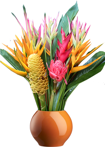 Large - Protea (612x671), Png Download