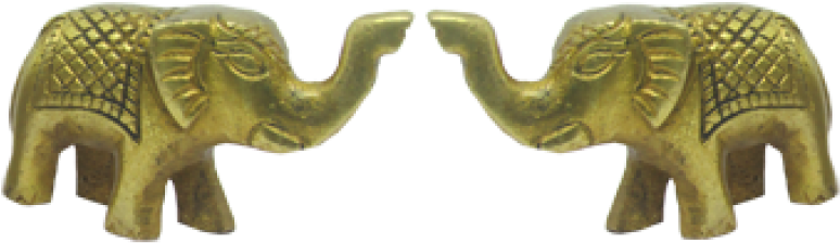 Indian Elephant (800x800), Png Download