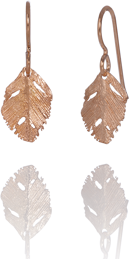 Earrings (1000x1000), Png Download