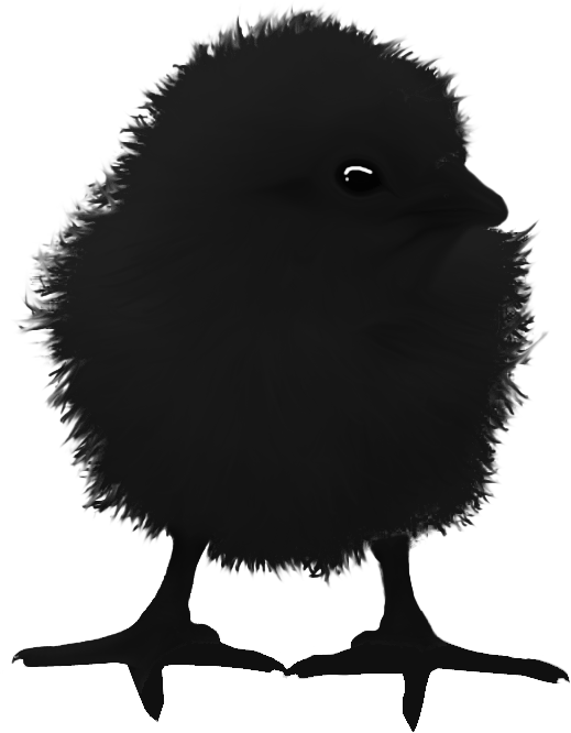 Raven Chick - Illustration (519x666), Png Download