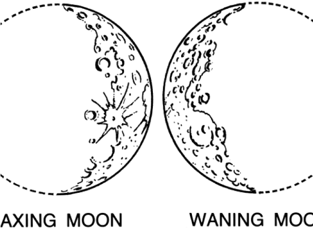 Drawn Moon Crescent - Moon (640x480), Png Download