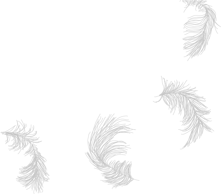 Aboriginal Arts Collective Of Canada - Sketch (1880x674), Png Download