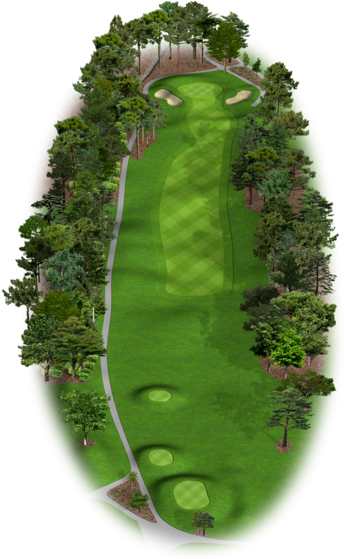 Book - Tree (731x1024), Png Download