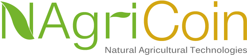 96 - Graphic Design (1000x1000), Png Download