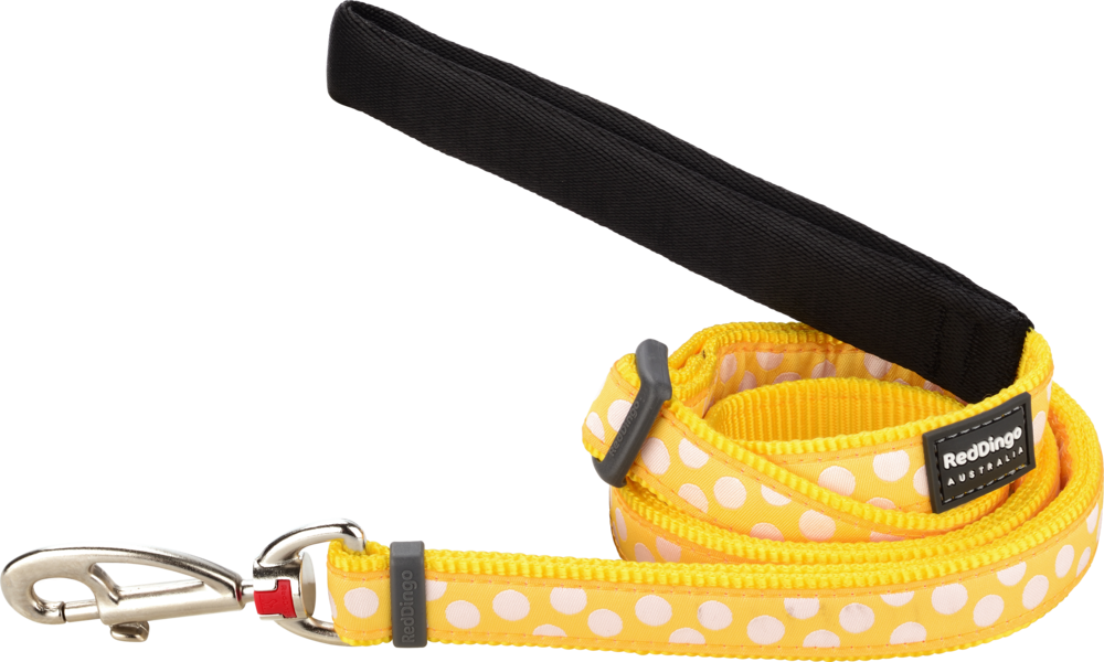 Belt (1000x600), Png Download