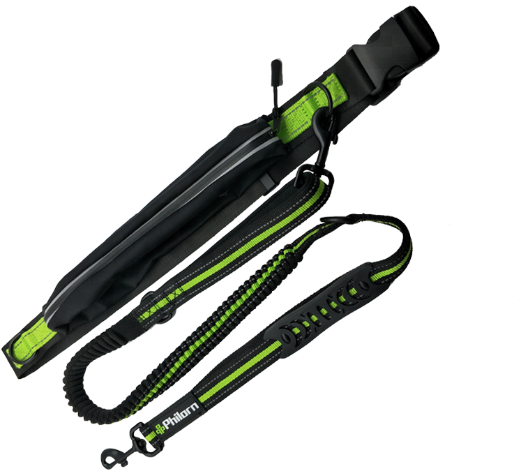 2018 Best Selling Pet Supplies Reflective Nylon Rope - Umbrella (800x800), Png Download