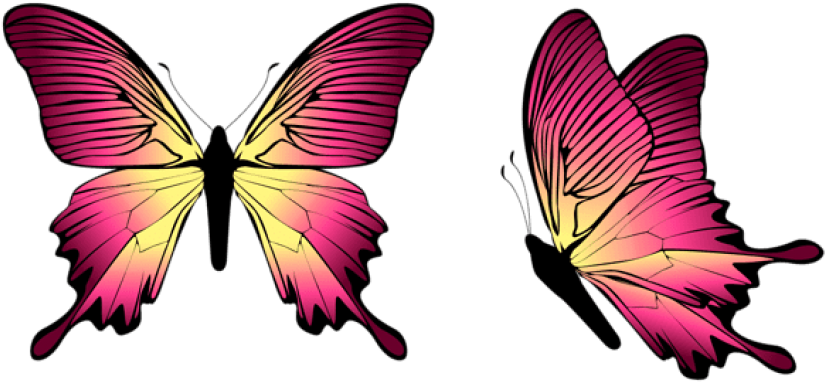 Free Png Download Butterfly Clipart Png Photo Png Images - Transparent Blue Butterfly Png (850x401), Png Download