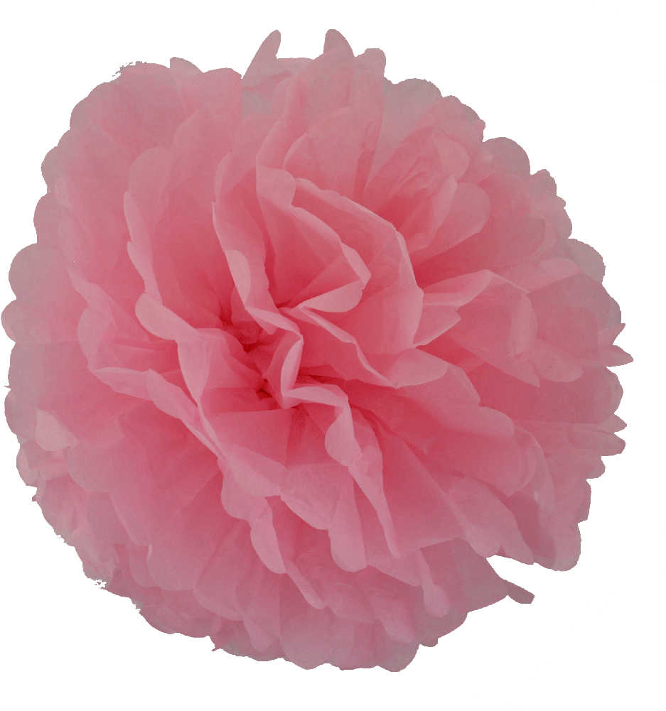 Image - Dahlia (1000x1007), Png Download