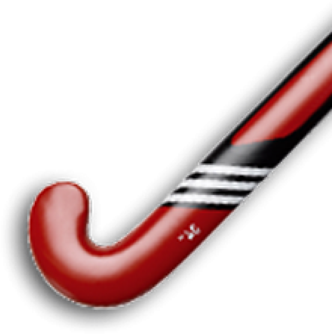 Cropped Crosses En Croix4 - Illustration (1080x1322), Png Download