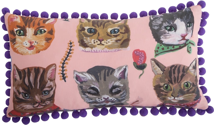 Close - Kitten (800x533), Png Download