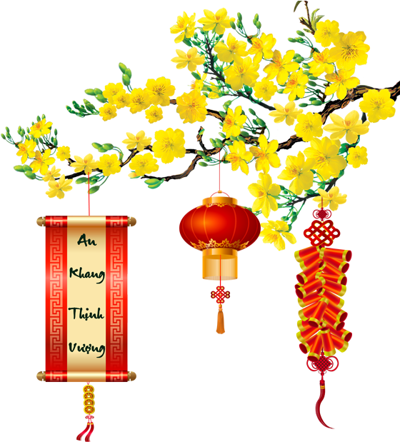 Hoa Mai - Banner Mai Vàng (600x646), Png Download