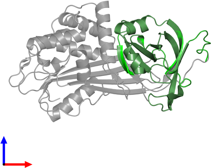<div Class='caption-body'>1 Copy Of Cath Domain - Illustration (800x800), Png Download