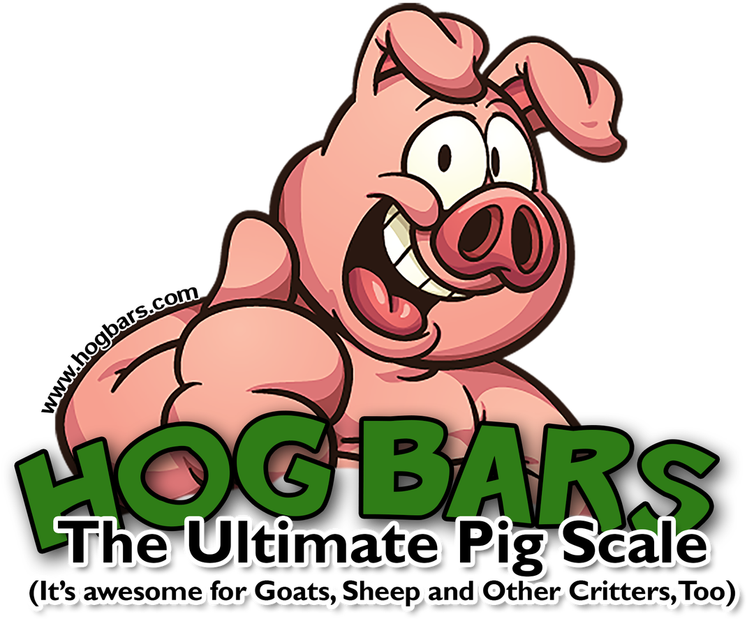 Categories - Cartoon Pig (1280x1280), Png Download