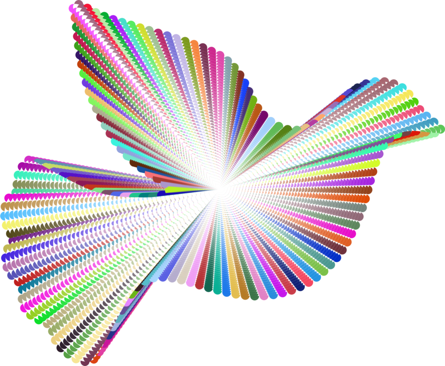 Bird Pigeons And Doves Video Public Domain Animal - Diagram (912x750), Png Download