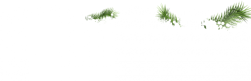 Snow , 2016 03 02 - Darkness (810x810), Png Download