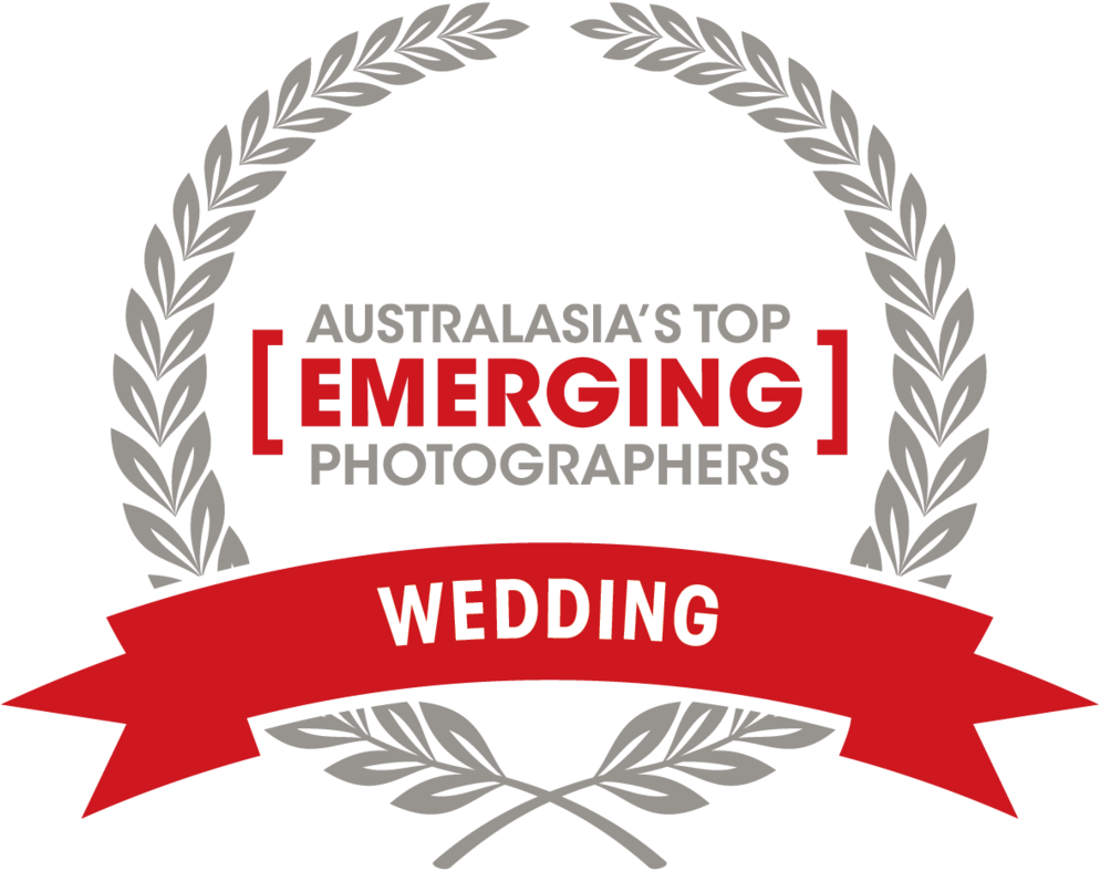 08320 Cph Atep Badges Hc Wedding Hc Wedding - Leaf Circle Border Png (1000x806), Png Download