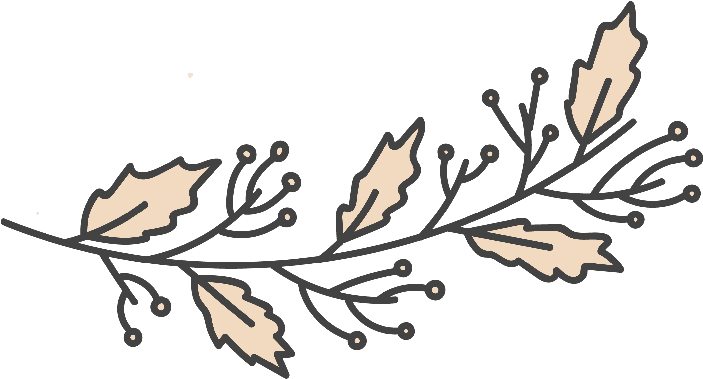 Decorative Divider Branch (800x396), Png Download