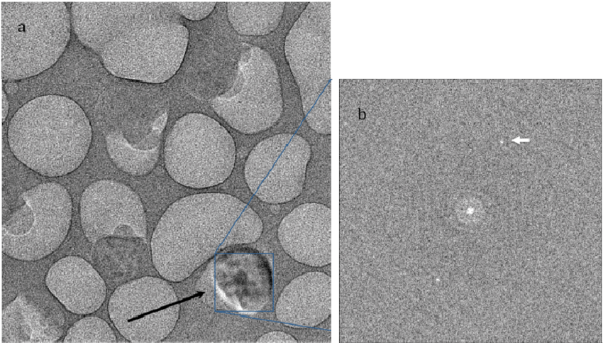 Download - Cobblestone (850x483), Png Download