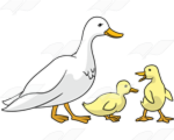 Duckling Clipart Two - Duck (640x480), Png Download