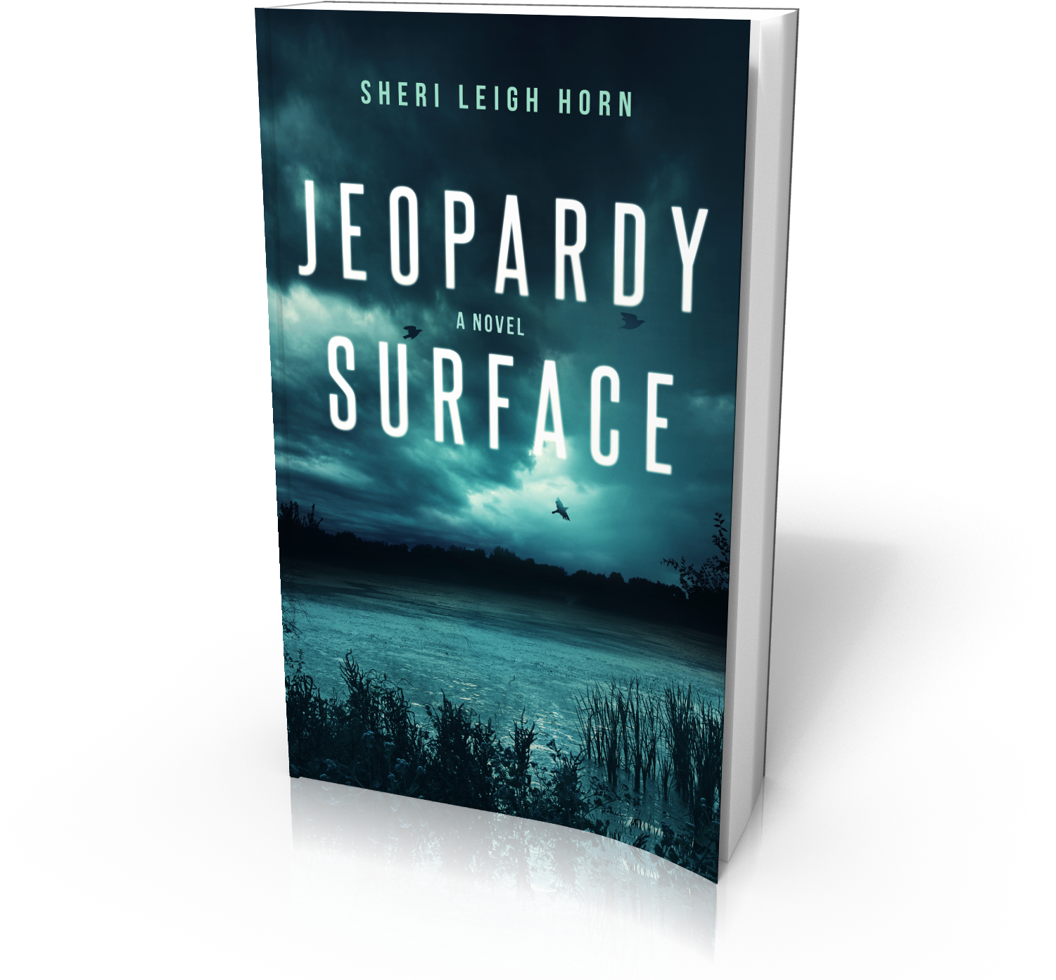 Jeopardy Surface Marks The Debut Of A Compelling New - Poster (1500x1500), Png Download