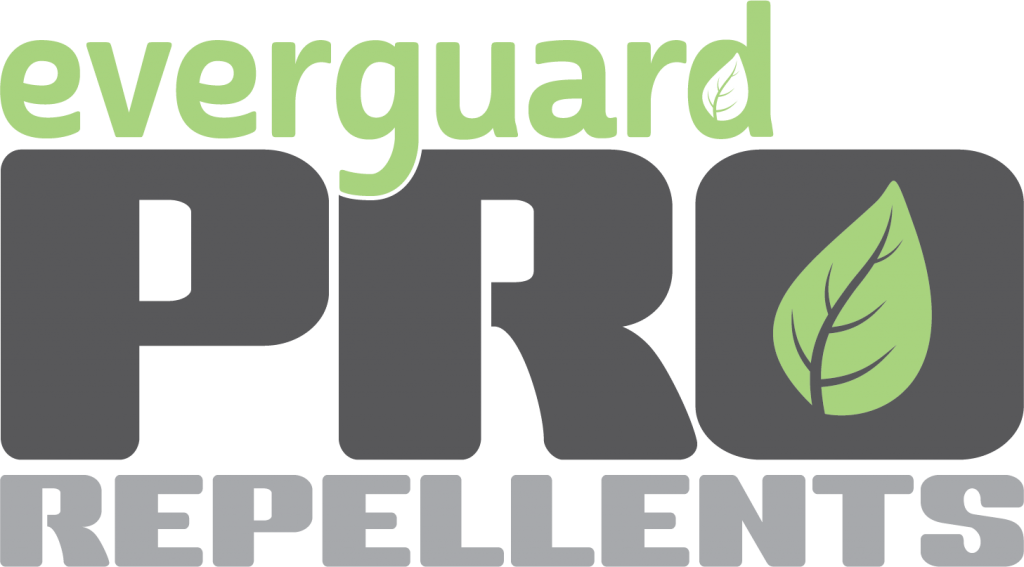 An Invasive New Tick Is Spreading In The U - Graphic Design (1024x567), Png Download