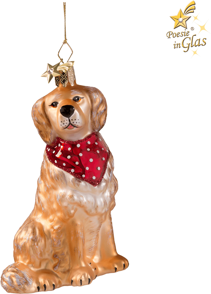 Golden Retriever (1000x1000), Png Download