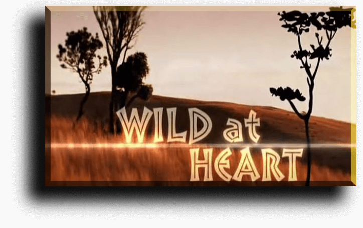 Acting Is All About Finding The Truth Within Whatever - Wild At Heart Tv Series (724x456), Png Download