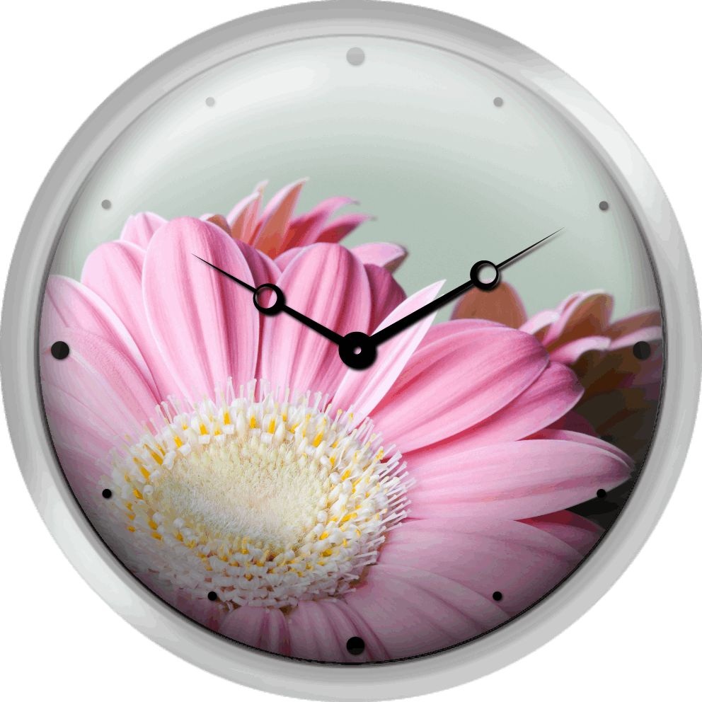 Close Up Of Pink Daisy Flower - Wall Clock (992x992), Png Download