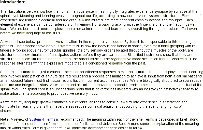 The Nervous System Part 1 Spinal Cord - Meaning Of Nervous System (802x525), Png Download