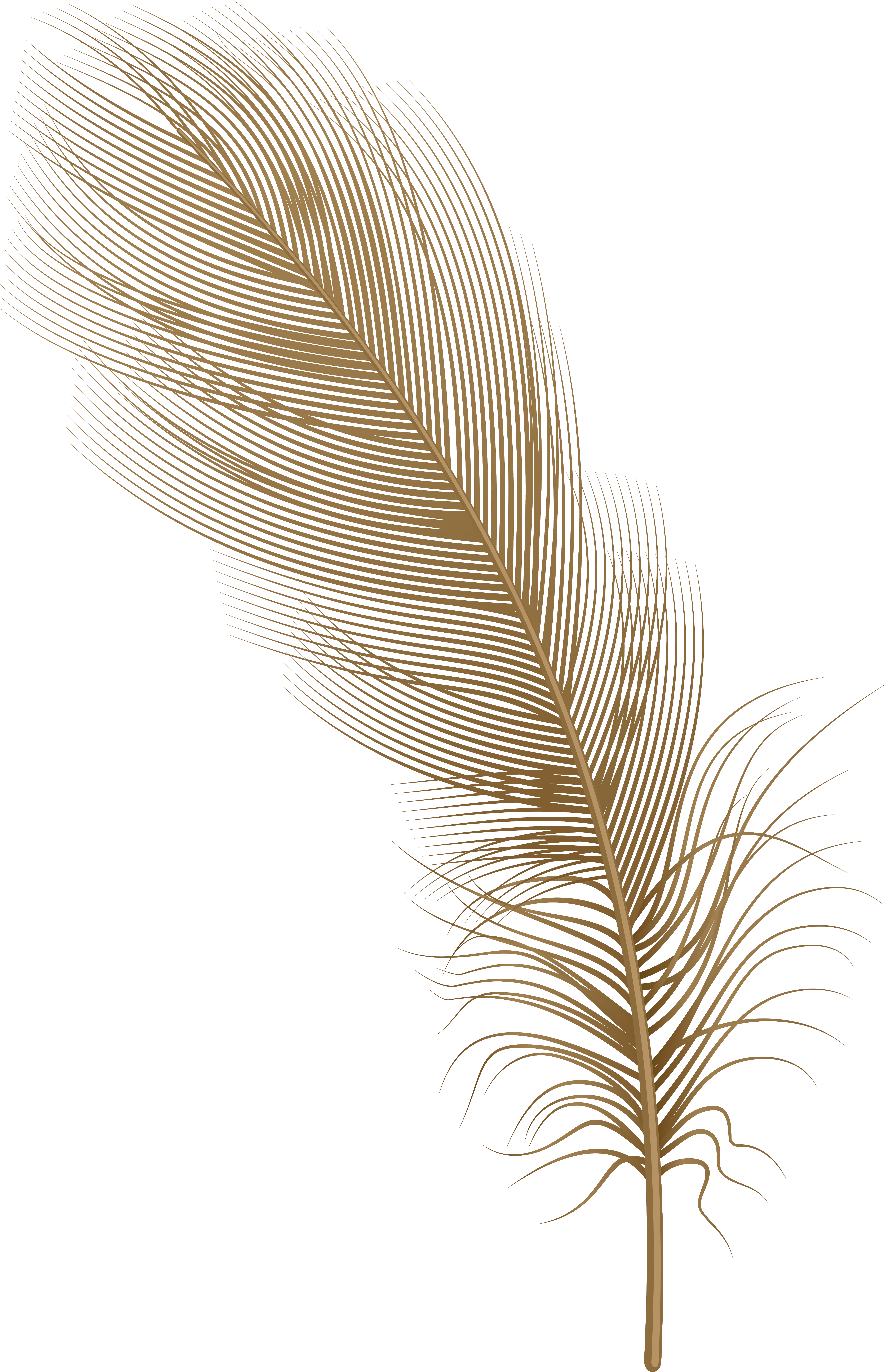 Feather Brown Png Clip Art - Illustration (5191x8000), Png Download
