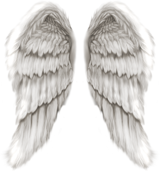 Tubes Ailes - Angel Son In Heaven (674x720), Png Download