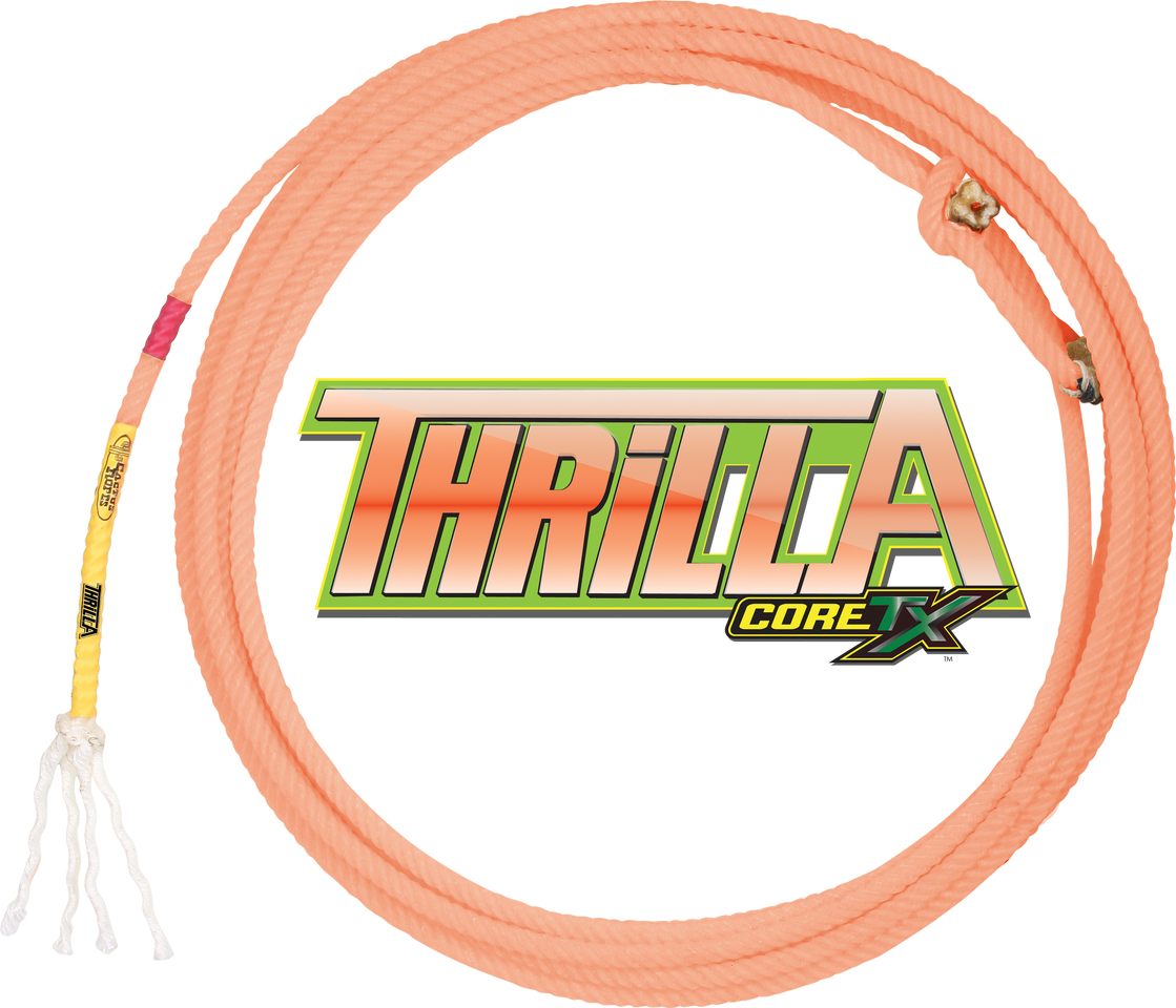 Cactus Ropes Thrilla (1119x960), Png Download