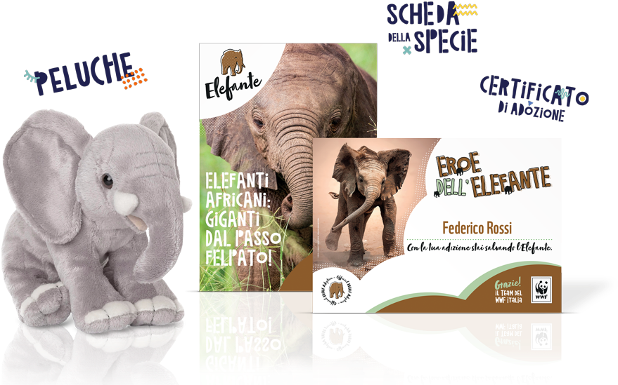 Perché Gli Elefanti Hanno La Proboscide E Come Mai - Kit Peluche Elefante Wwf (1000x582), Png Download