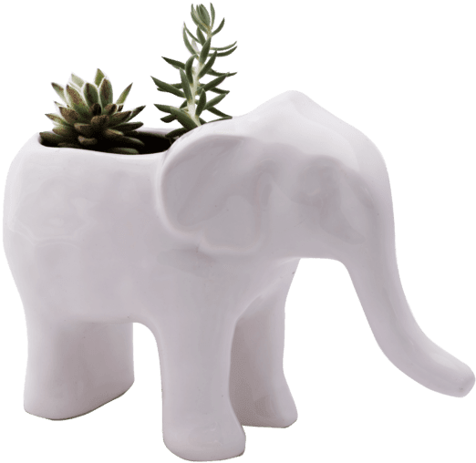 Maceta Elefante - Macetas Elefante (640x559), Png Download