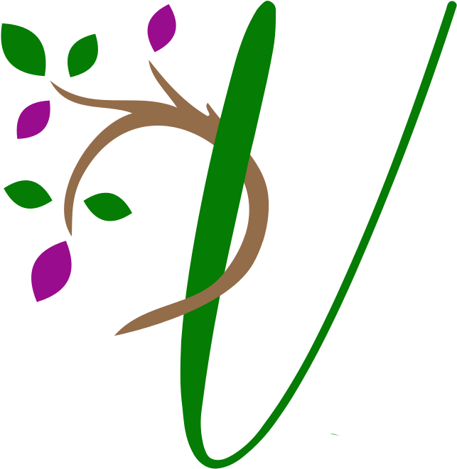 Vita Healthcare Group (709x711), Png Download